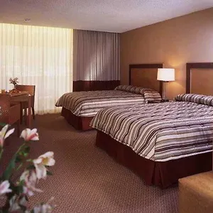 Casino 4*, Palm Springs United States